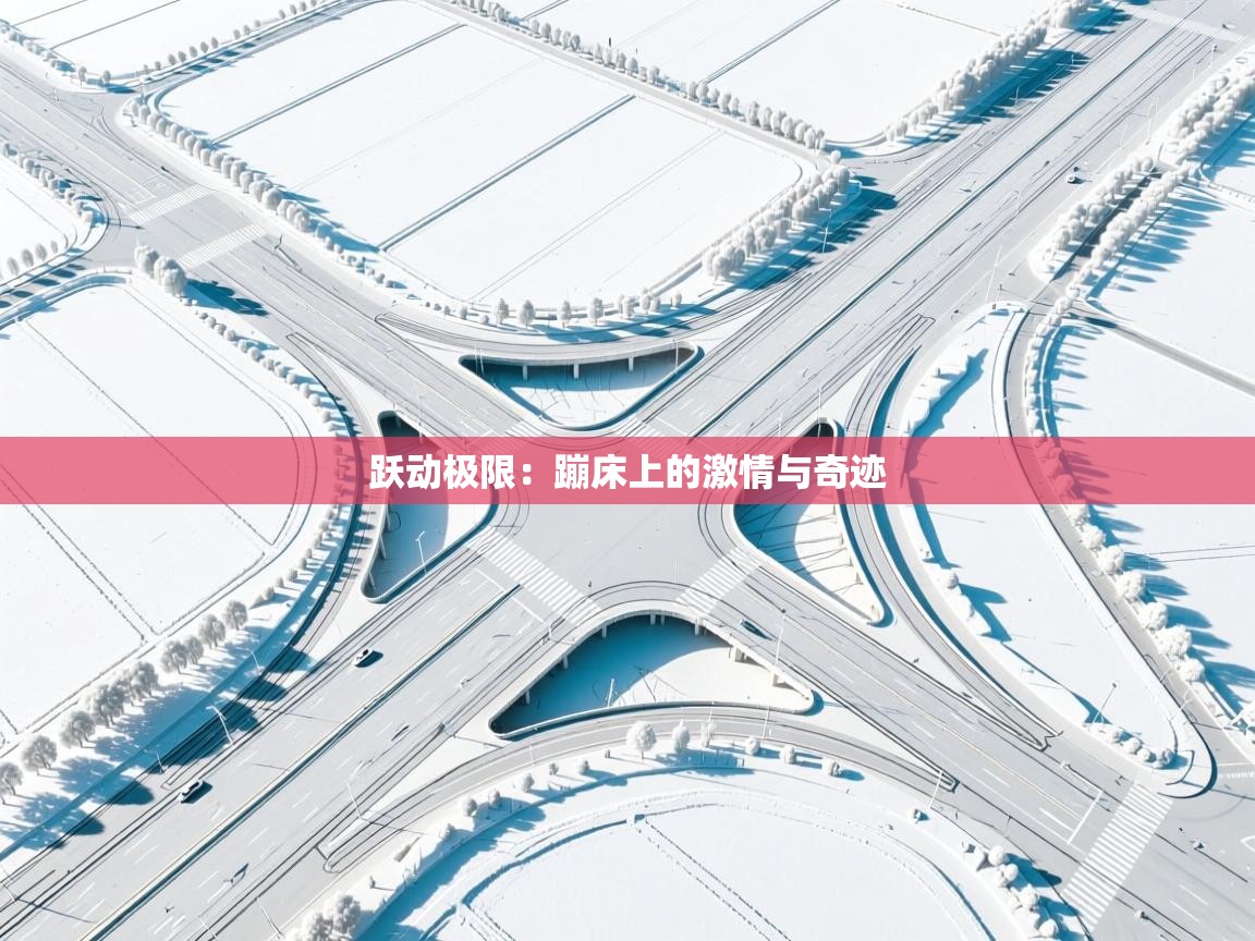 跃动极限：蹦床上的激情与奇迹  第1张