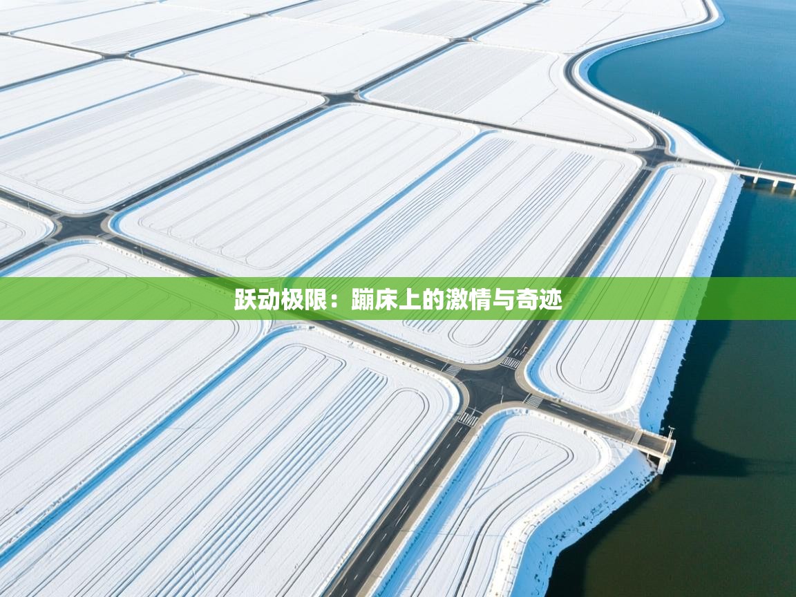 跃动极限：蹦床上的激情与奇迹  第2张